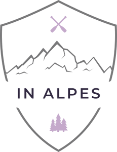 Groupe IN ALPES Taxi à VAULNAVEYS LE HAUT