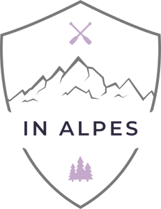 Groupe IN ALPES Taxi à VAULNAVEYS LE HAUT