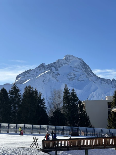 In Alpes Taxis à Les Deux Alpes