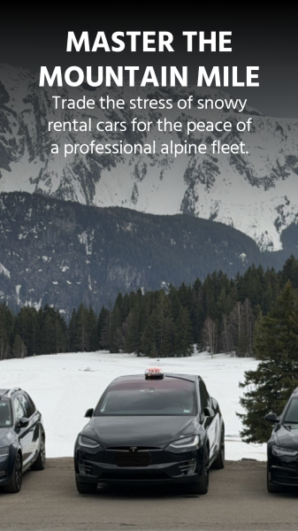 In Alpes Taxis Chamrousse