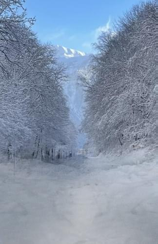 In Alpes Taxis transports stations