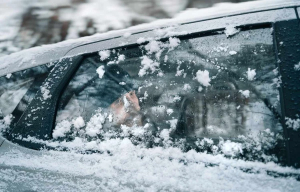 Taxi pour un transfert interstation à la station de ski Les-Sept-Laux
